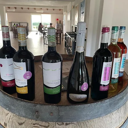 Carrabean Sea In The North Of Sardegna, With Swimming Pool Holiday home Viddalba