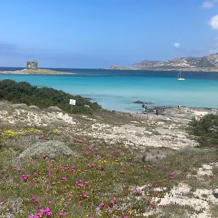 Carrabean Sea In The North Of Sardegna, With Swimming Pool Viddalba