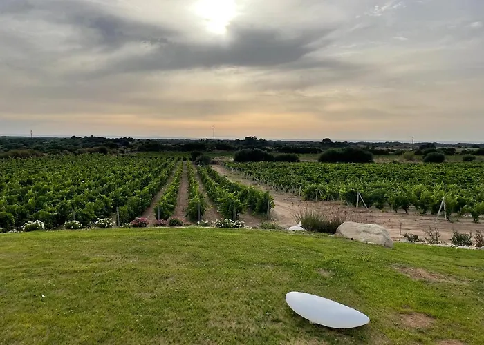 Carrabean Sea In The North Of Sardegna, With Swimming Pool Ferienhaus Viddalba