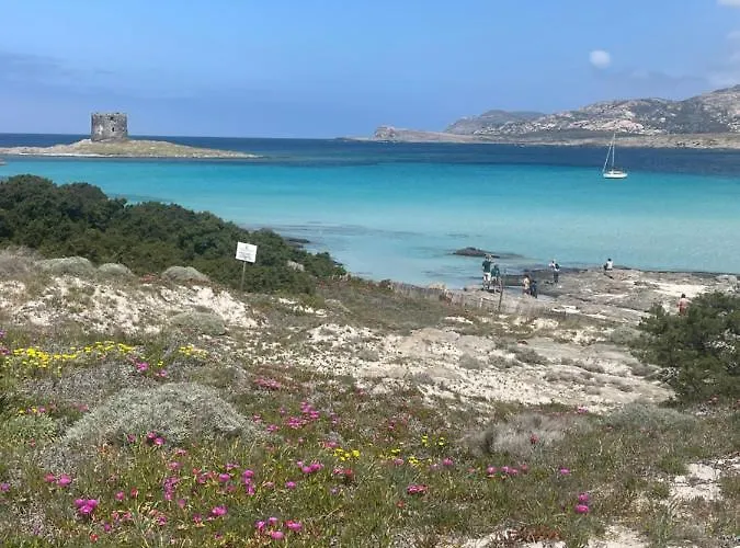 Carrabean Sea In The North Of Sardegna, With Swimming Pool Viddalba